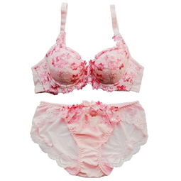 黛安芬內(nèi)衣價(jià)格指南及比價(jià)攻略 460-500元商品精選與51比購(gòu)返利網(wǎng)評(píng)測(cè)