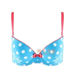 青色文胸芬怡內(nèi)衣 價(jià)格、比價(jià)與產(chǎn)品評(píng)測(cè)